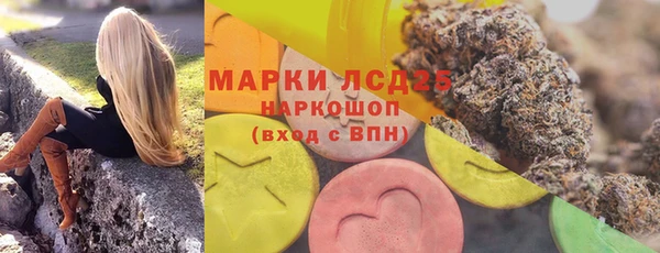 мяу мяу мука Баксан