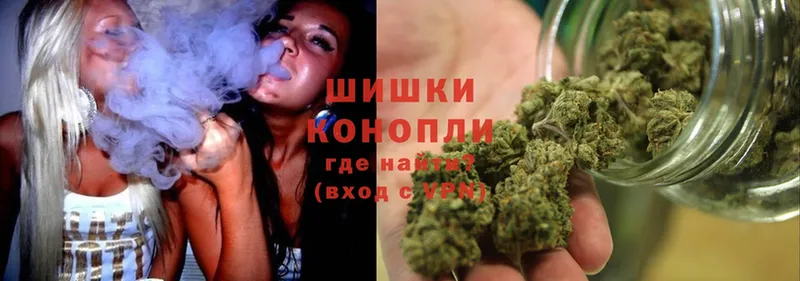 Бошки Шишки THC 21%  Белокуриха 